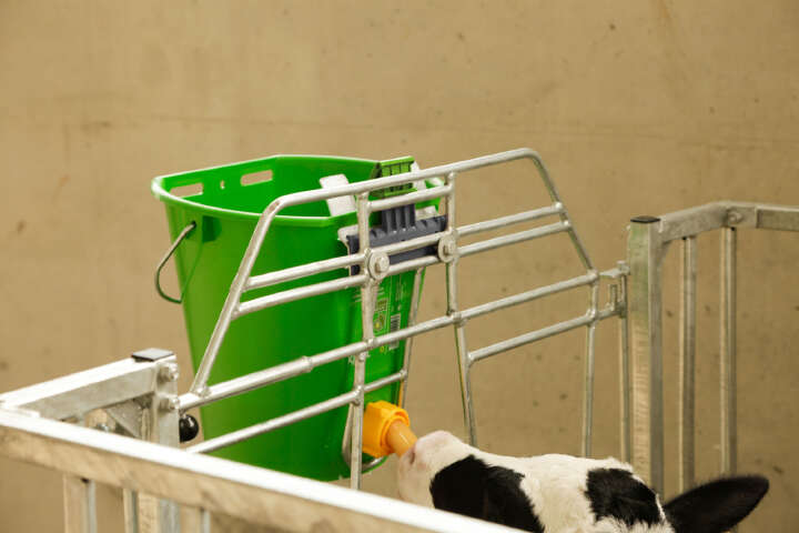 KERBL Auswurfsicherung Bucket Guard